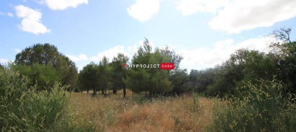 16000m² Land in Martina Franca, Italy No. 283488 3