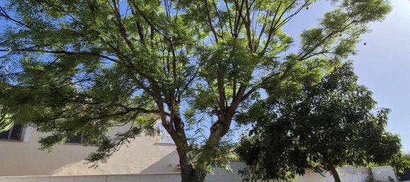 Дом с 5 спальнями в Марбелья, Испания № 149159 23