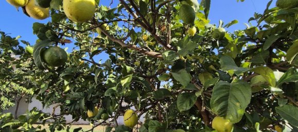 Дом с 5 спальнями в Марбелья, Испания № 149159 21