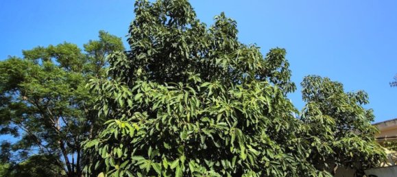 Дом с 5 спальнями в Марбелья, Испания № 149159 45