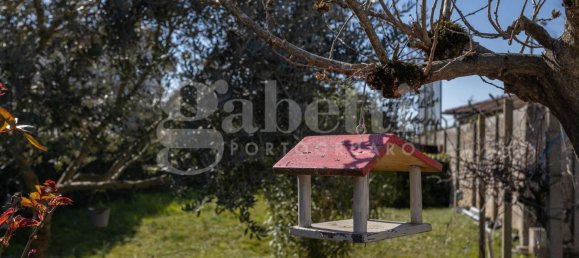 6 rooms House in Portogruaro, Italy No. 172591 12