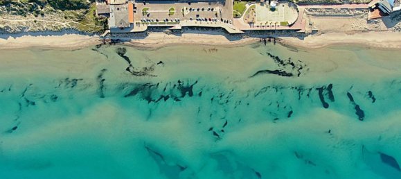 8 rooms Villa in Sorso, Italy No. 290666 7