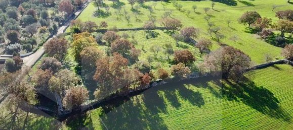 Casa de 7 divisões em Ceglie Messapica, Italy N.º 25385 14