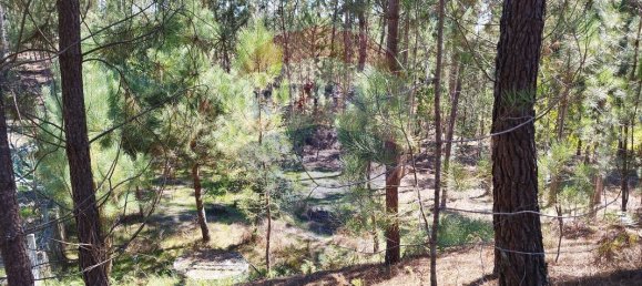 Terreno en Ourem, Portugal 5000 m² No. 73937 7