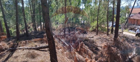 Terreno en Ourem, Portugal 5000 m² No. 73937 4