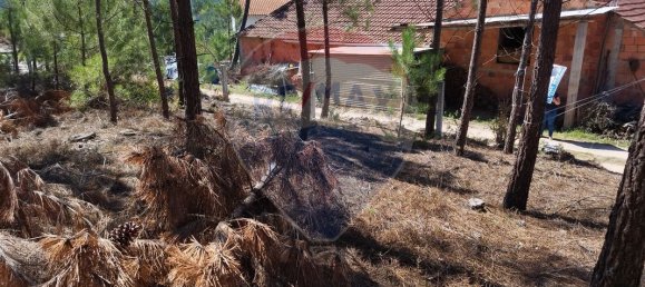 Terreno en Ourem, Portugal 5000 m² No. 73937 5