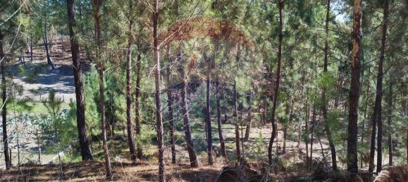 Terreno en Ourem, Portugal 5000 m² No. 73937 6