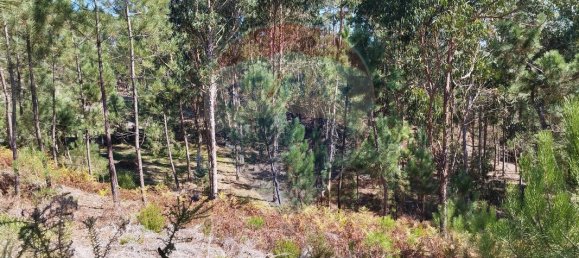 Terreno en Ourem, Portugal 5000 m² No. 73937 9