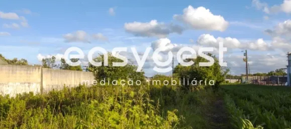 Grundstück in Paiao, Portugal, Nr. 90932 5