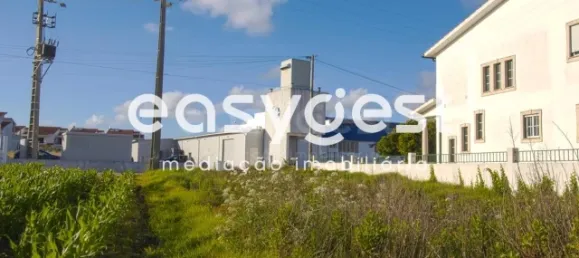 Grundstück in Paiao, Portugal, Nr. 90932 6