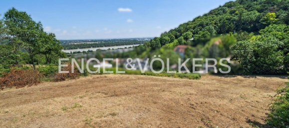 Земельный участок 1770м² в Клоштернойбург, Австрия № 131188 2