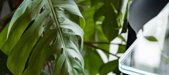 3غرفة شقة في Mantua, Italy رقم 338424 31