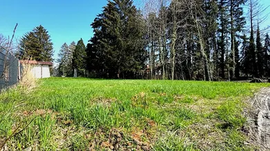  قطعة أرض في Lustenau, Austria رقم 229819