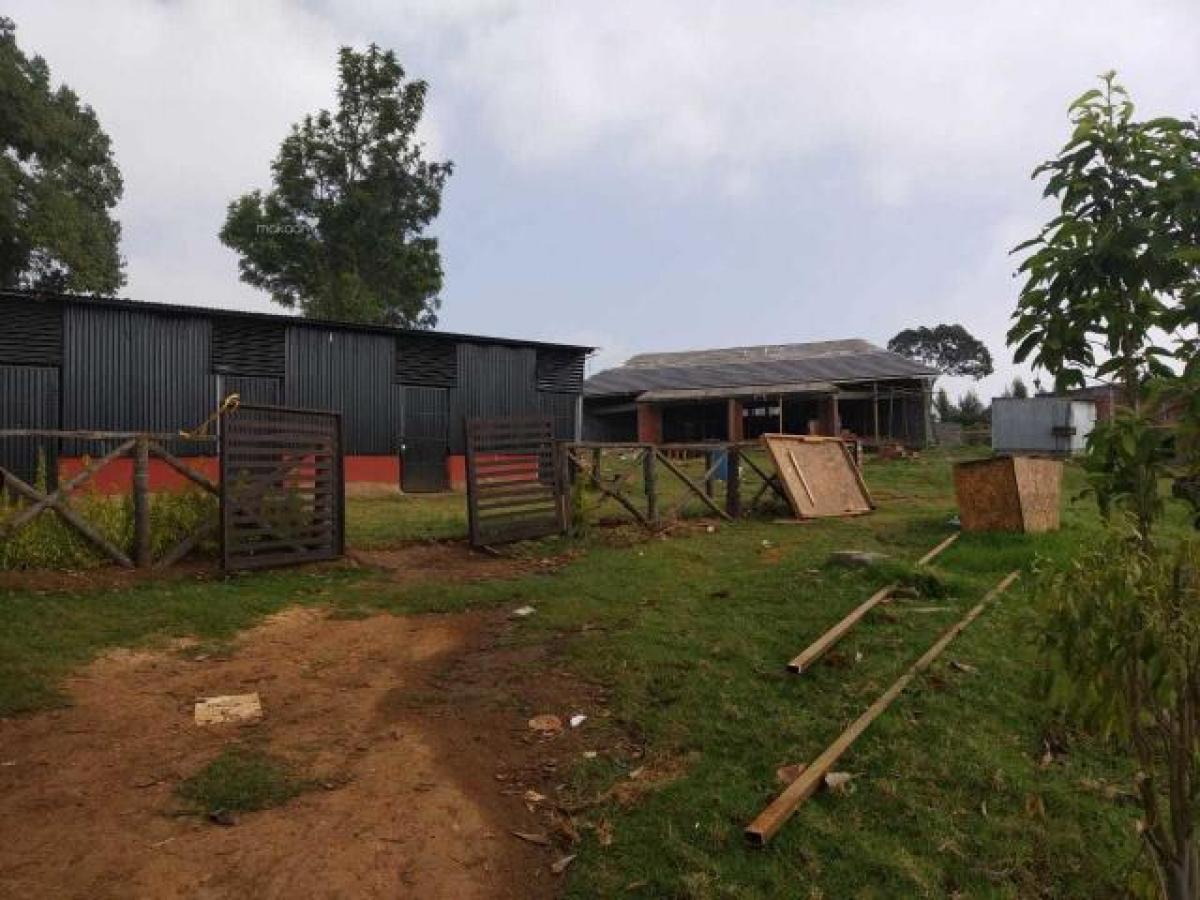  Land in Tamil Nadu, India No. 38536