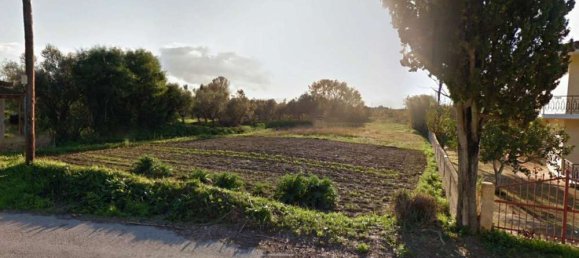Terra em Zakynthos, Greece N.º 637 3