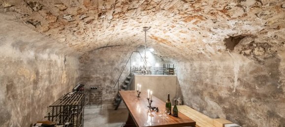 13 غرف نوم فيلا في Mougins, France رقم 1723 13