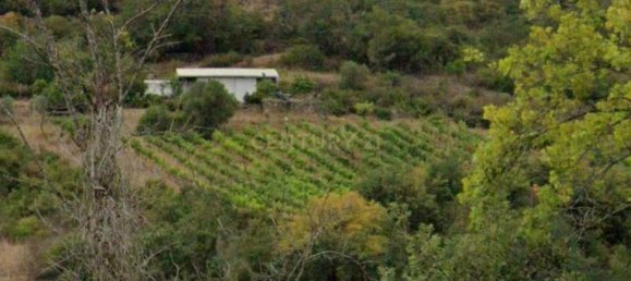 Grundstück in Bucelas, Portugal 23040m², Nr. 58027 2