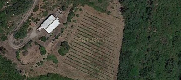 Grundstück in Bucelas, Portugal 23040m², Nr. 58027 6