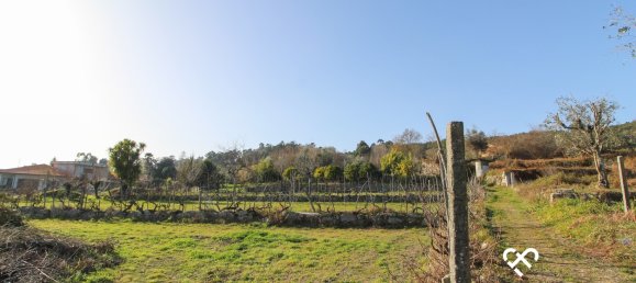 قطعة أرض في Viseu, Portugal رقم 66829 2