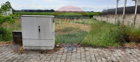 486m² Land in Lardosa, Portugal No. 72929 5