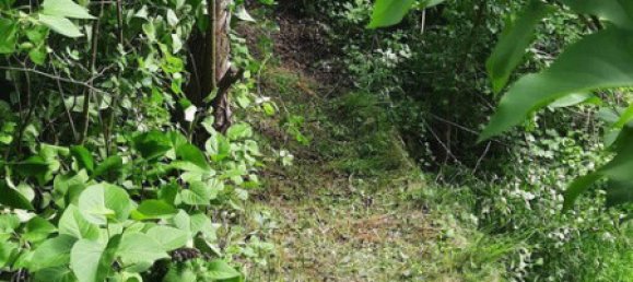 8272m² Land in Krems an der Donau, Austria No. 232946 6