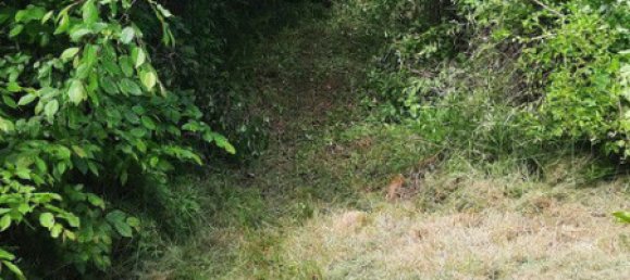 8272m² Land in Krems an der Donau, Austria No. 232946 5