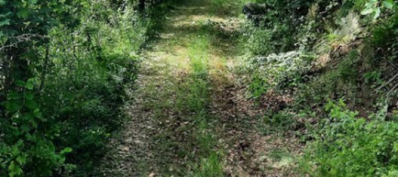 8272m² Land in Krems an der Donau, Austria No. 232946 9