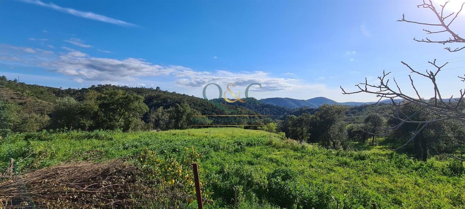 5 bedrooms House in Salir, Portugal No. 245612