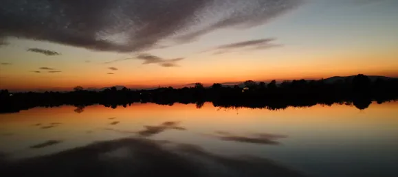 5-salle Maison de ville à Munchendorf, Austria No. 44795 32