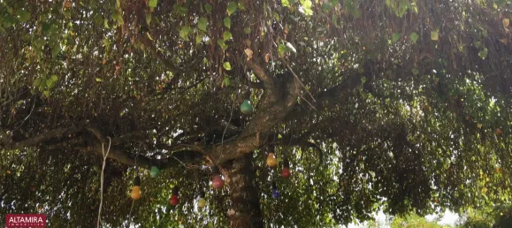 5-salle Maison de ville à Munchendorf, Austria No. 44795 28