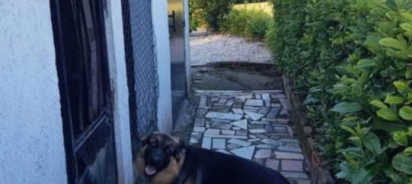 Замки и поместья с 3 спальнями в Фрагозу, Португалия № 190010 14