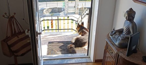 Замки и поместья с 3 спальнями в Фрагозу, Португалия № 190010 31