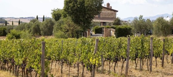 9 bedrooms Villa in Scansano, Italy No. 64403 13