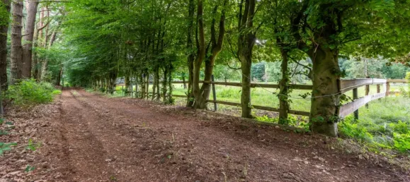 2 Schlafzimmer Bungalow in Dithmarschen, Germany, Nr. 310561 11