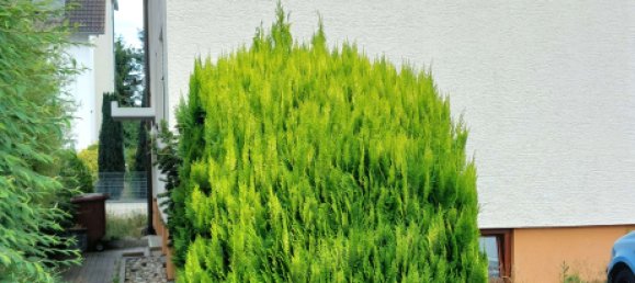 2غرفة شقة في Heilbronn, Germany رقم 267967 11