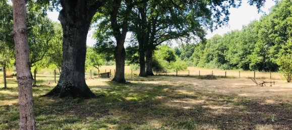 3 bedrooms Villa in Saint-Amand-Montrond, France No. 91248 3