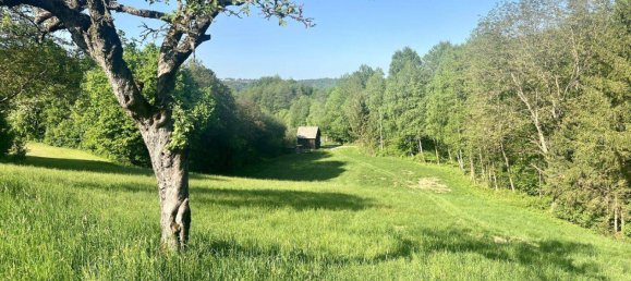 6-Zimmer Villa in Lockenhaus, Austria, Nr. 204908 36