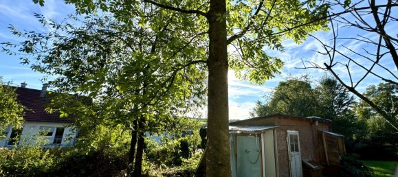 Terrain à Neckar-Odenwald-Kreis, Germany No. 52111 9