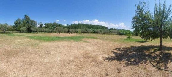 11 rooms Villa in Sarzana, Italy No. 194091 2