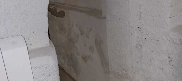 11 rooms Villa in Sarzana, Italy No. 194091 27