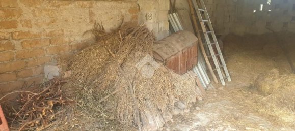 Garage à Veroli, Italy 40m² No. 276042 5