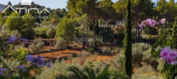 4 bedrooms Villa in Denia, Spain No. 164077 53