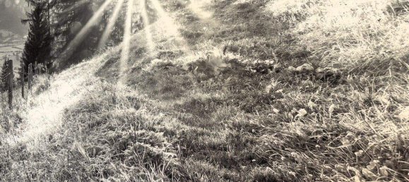 Apartamento de 3 habitaciónes en Liezen, Austria No. 150369 25