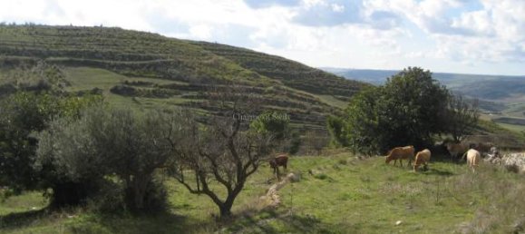 Вилла с 5 комнатами в Рагуза, Италия № 232855 5