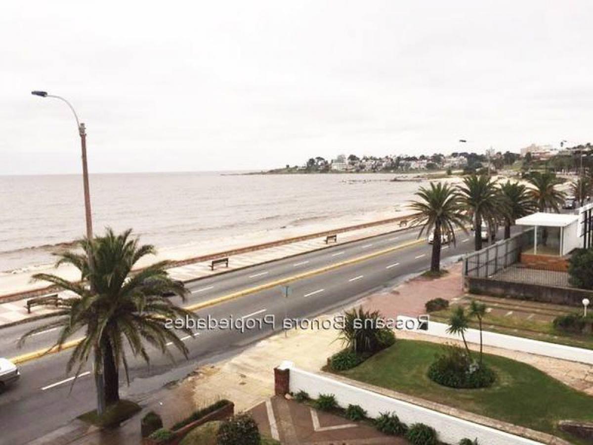 2 bedrooms Apartment in Montevideo, Uruguay No. 4358