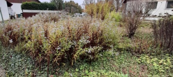 6 rooms Townhouse in Rhineland-Palatinate, Germany No. 117977 18