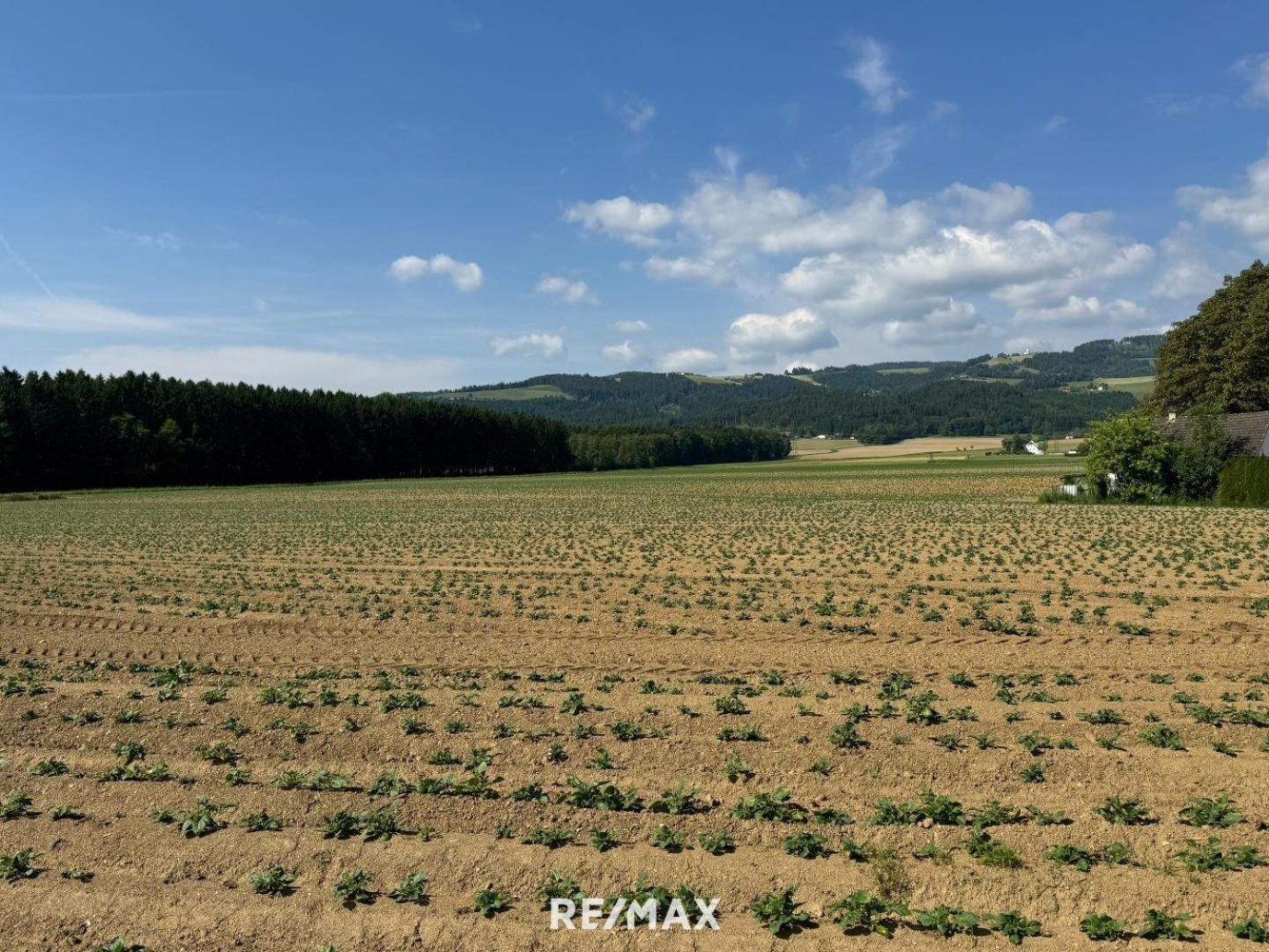 Grundstück in Wolfsberg, Austria, Nr. 213493