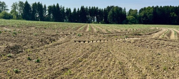 Grundstück in Wolfsberg, Austria, Nr. 213493 3