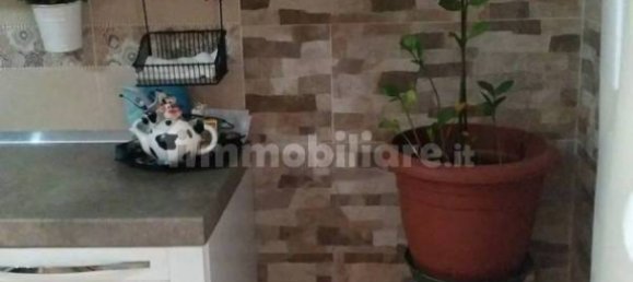 13 غرف نوم فيلا في Montenero di Bisaccia, Italy رقم 199933 27