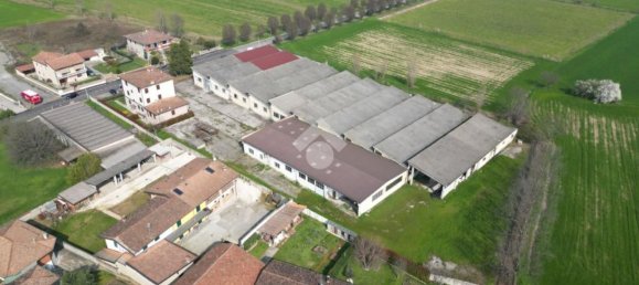  مستودع في San Paolo, Italy 4750متر مربع رقم 159934 4